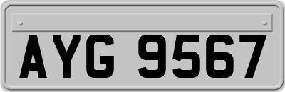 AYG9567