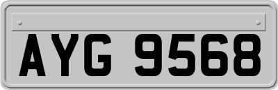 AYG9568
