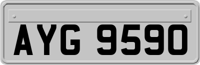 AYG9590