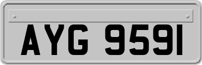 AYG9591