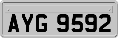AYG9592