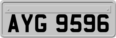 AYG9596