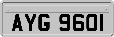 AYG9601