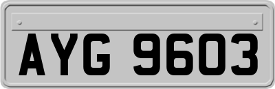 AYG9603