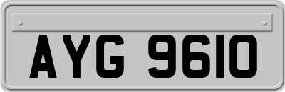 AYG9610