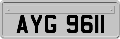 AYG9611