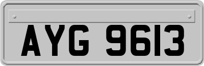 AYG9613
