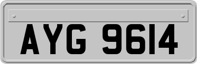AYG9614