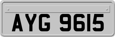 AYG9615