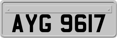 AYG9617