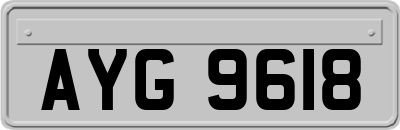 AYG9618