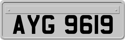 AYG9619