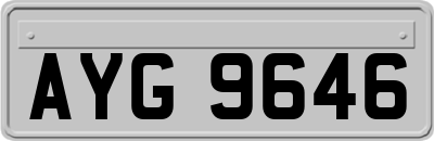 AYG9646