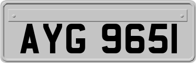 AYG9651