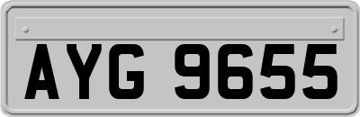AYG9655