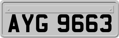 AYG9663