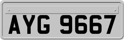 AYG9667