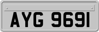 AYG9691