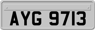 AYG9713