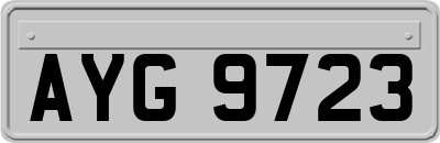 AYG9723