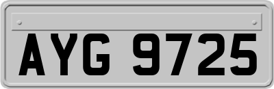AYG9725