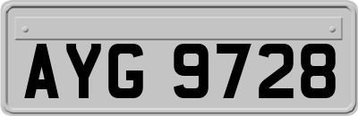 AYG9728