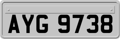 AYG9738