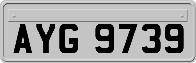 AYG9739