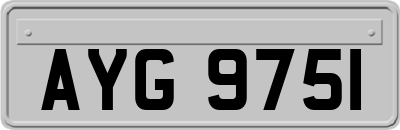 AYG9751