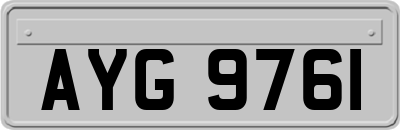 AYG9761