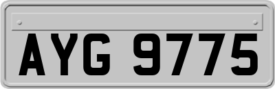 AYG9775