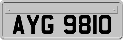 AYG9810