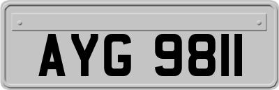 AYG9811
