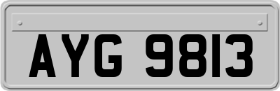 AYG9813