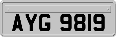 AYG9819