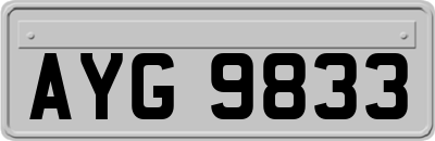 AYG9833