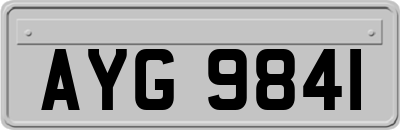 AYG9841