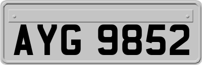 AYG9852