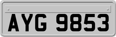 AYG9853