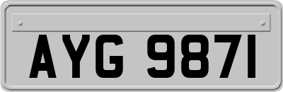 AYG9871