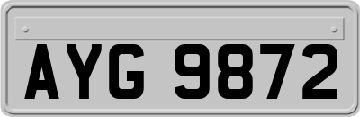 AYG9872