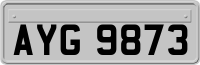 AYG9873