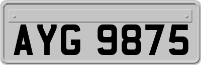 AYG9875