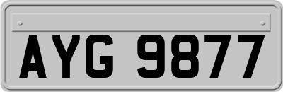 AYG9877