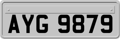 AYG9879