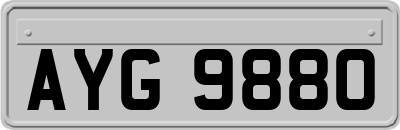 AYG9880