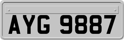 AYG9887