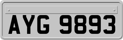 AYG9893