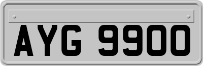 AYG9900