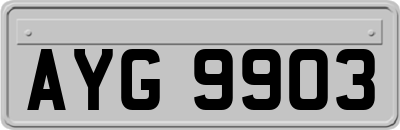 AYG9903